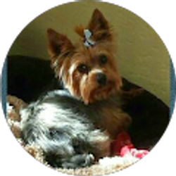 Profile photo of Criss Alderette