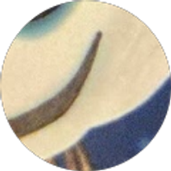 Profile photo of Steve Forsythe