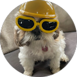 Profile photo of Troy McCutcheon