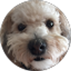 Profile photo of Mr. D