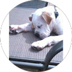 Profile photo of Diane Neidhart