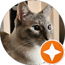 Profile photo of Brittani Olson