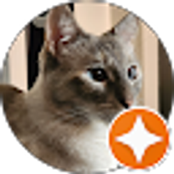 Profile photo of Brittani Olson