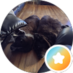 Profile photo of K Spencer