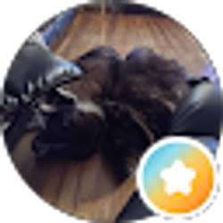 Profile photo of K Spencer