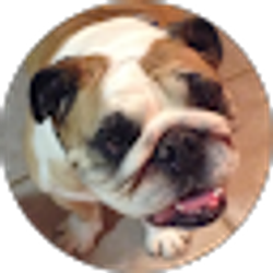 Profile photo of Sam-I-Am Pet Care