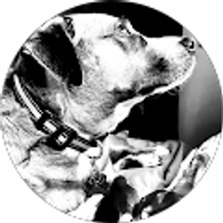 Profile photo of Julie Boudreaux