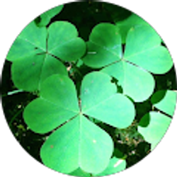 Profile photo of Heather Waddington