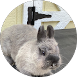 Profile photo of Alexandra Bartholomew