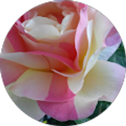 Profile photo of Greg & Vicky Seger