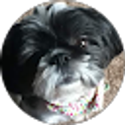 Profile photo of Elizabeth Burke