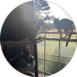 Profile photo of Bailey Powell