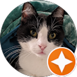 Profile photo of S L