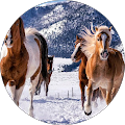 Profile photo of KaSondra Gonzalez