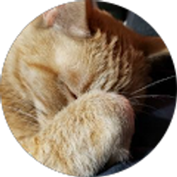 Profile photo of Elverta Hayden