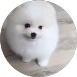 Profile photo of Kelly Megivern