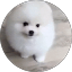 Profile photo of Kelly Megivern