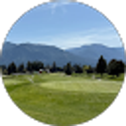 Profile photo of Tom K