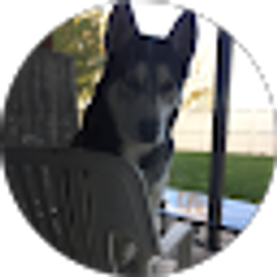 Profile photo of Jane Zolynas