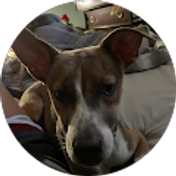 Profile photo of DjVader