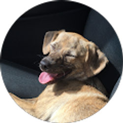 Profile photo of Monty Hemming