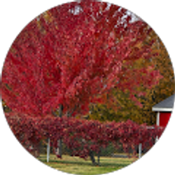 Profile photo of Jean Darling