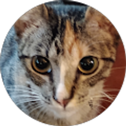 Profile photo of Jennifer Young Robinson