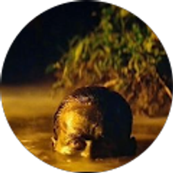 Profile photo of Rawlston