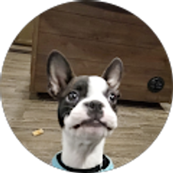 Profile photo of Alynd