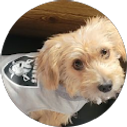 Profile photo of Roscoe H