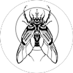 Profile photo of A Maerz