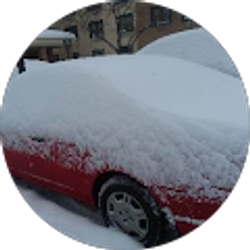 Profile photo of jose flores us