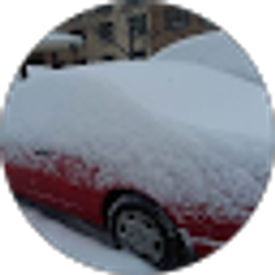 Profile photo of jose flores us