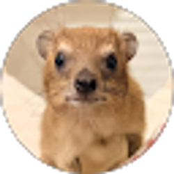 Profile photo of Sydney Kirtley
