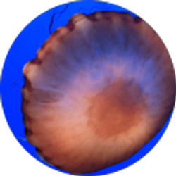 Profile photo of April Durham