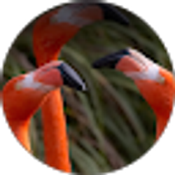 Profile photo of 2ya2