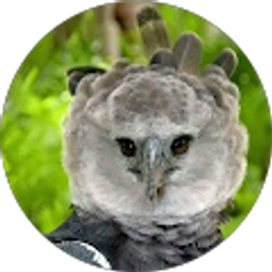 Profile photo of nasem towers