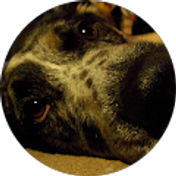 Profile photo of Jeff Winters