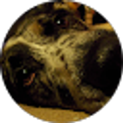 Profile photo of Jeff Winters