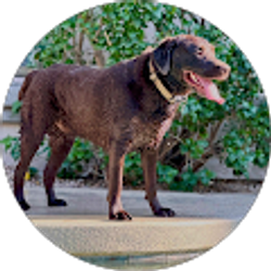 Profile photo of Bruce Hamilton