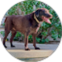 Profile photo of Bruce Hamilton