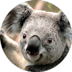 Profile photo of Bradley Gordon