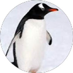 Profile photo of James Miranda