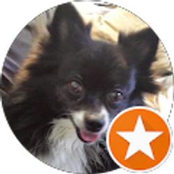 Profile photo of James Fannin