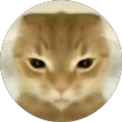 Profile photo of Aaden