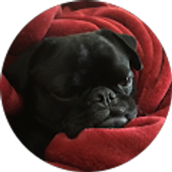 Profile photo of Moss Family