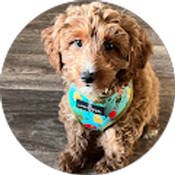 Profile photo of Mary Moore