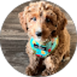 Profile photo of Mary Moore