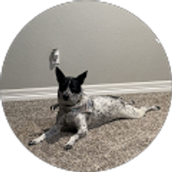 Profile photo of Dale Hobson