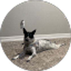 Profile photo of Dale Hobson